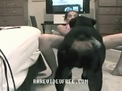 A slender slut who is in the mood for doggy-style sex with a beast bows over and extends her love tunnel.